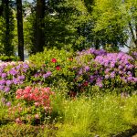 zeppelin_bruns_061