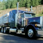 Cat-Motor-Lkw-Peterbilt-Truck